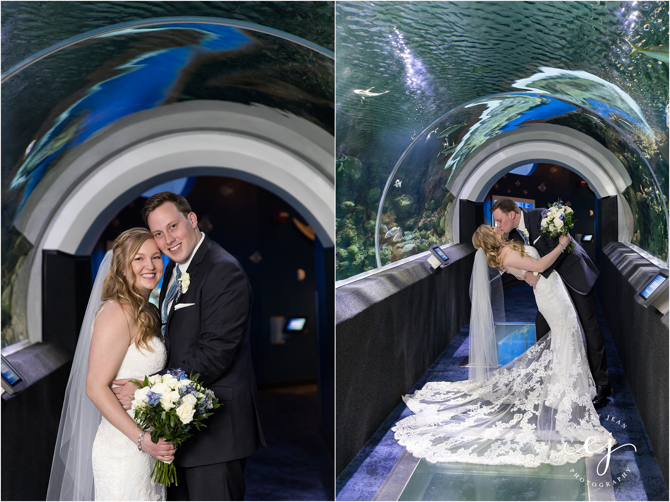 bride groom discovery world aquarium