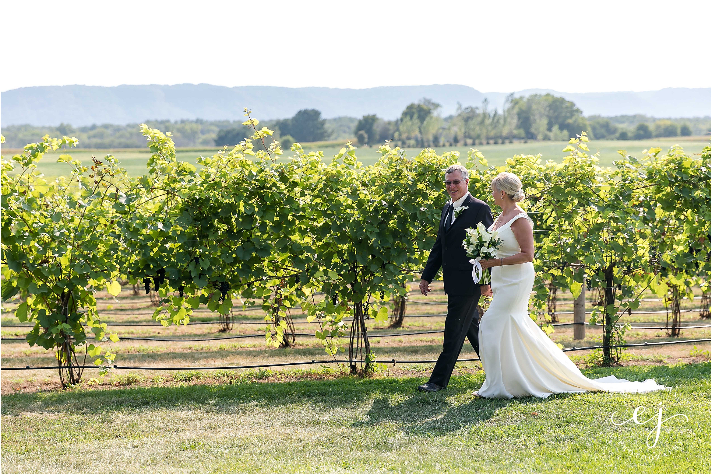 elmaro vineyard wedding winery wisconsin photographer