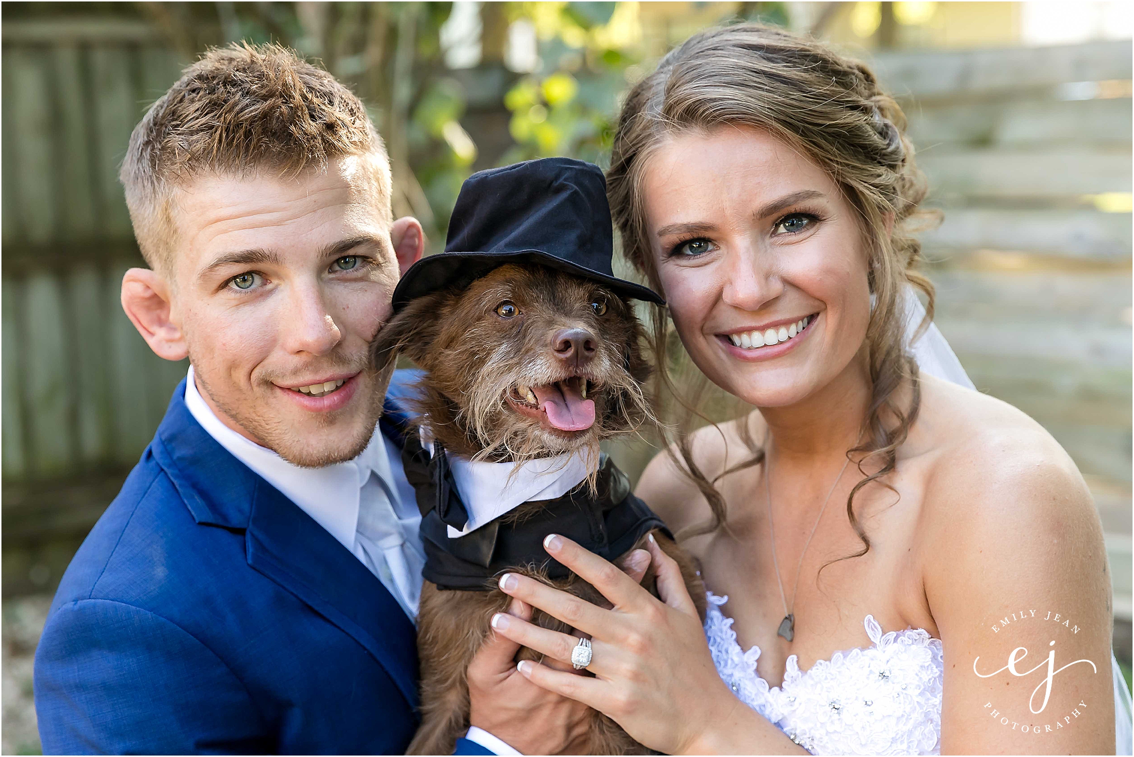dog tuxedo suit la crosse wedding photographer