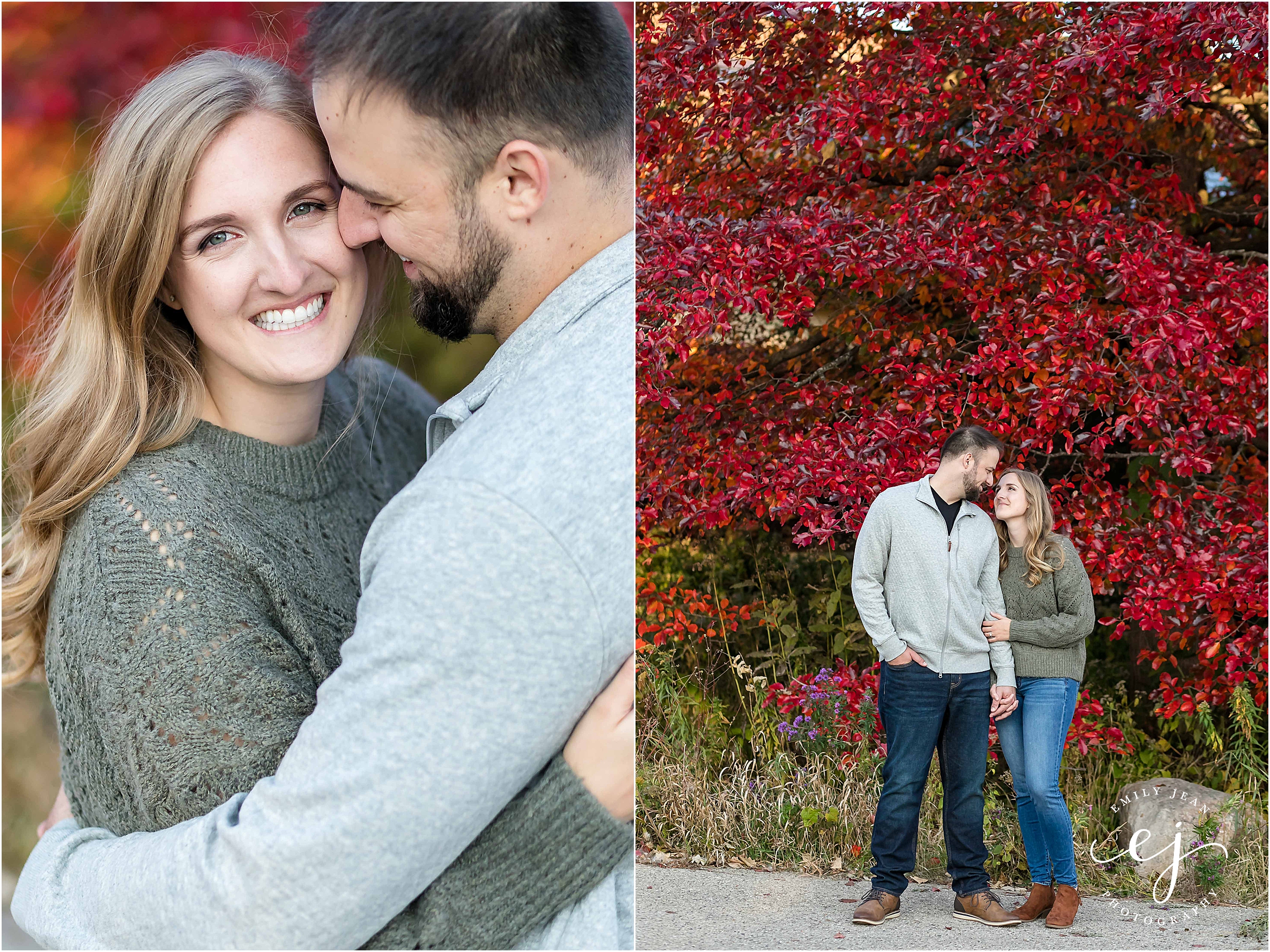 madison arboretum photographer engagement session in front of red tree autumn