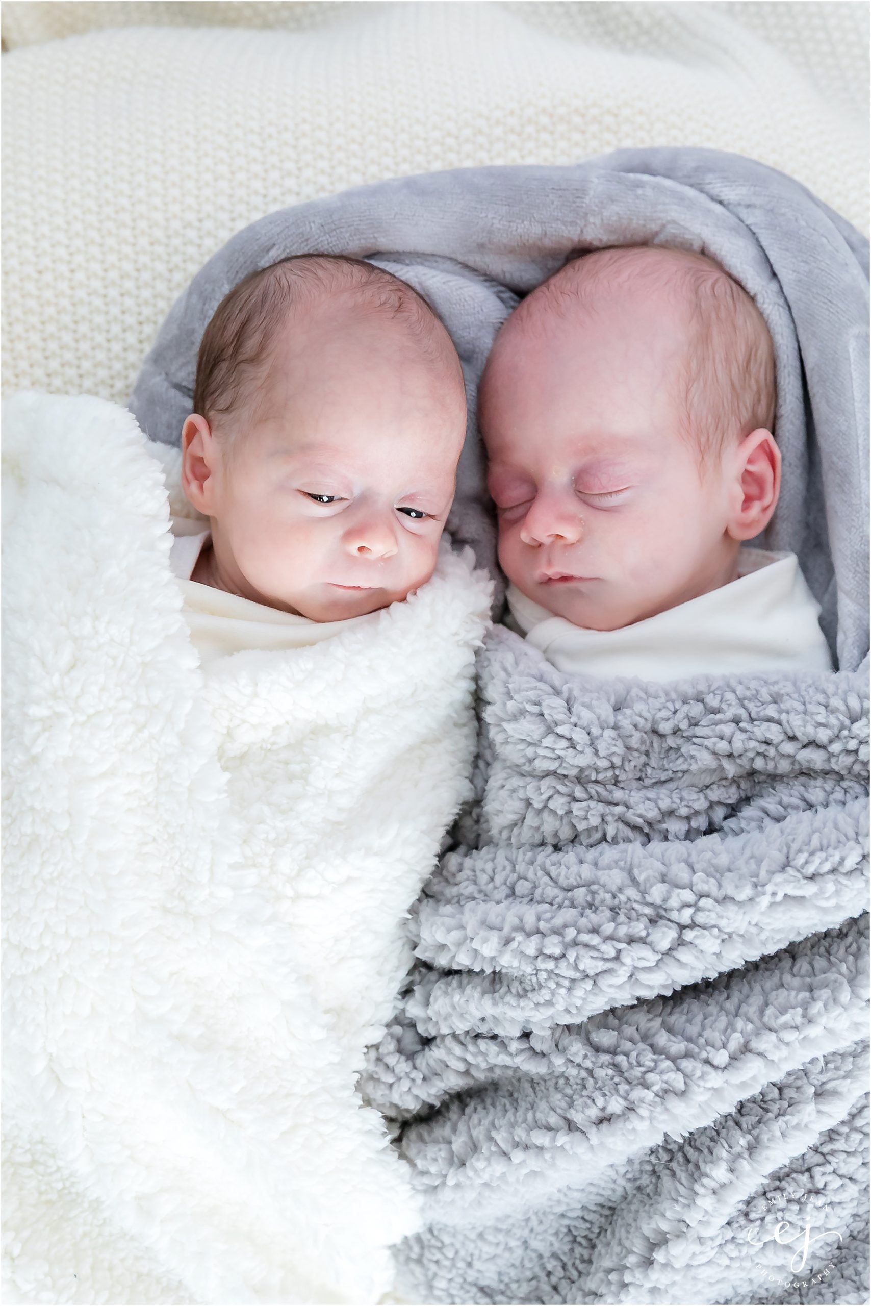 newborn twin boys la crosse wisconsin family photographer