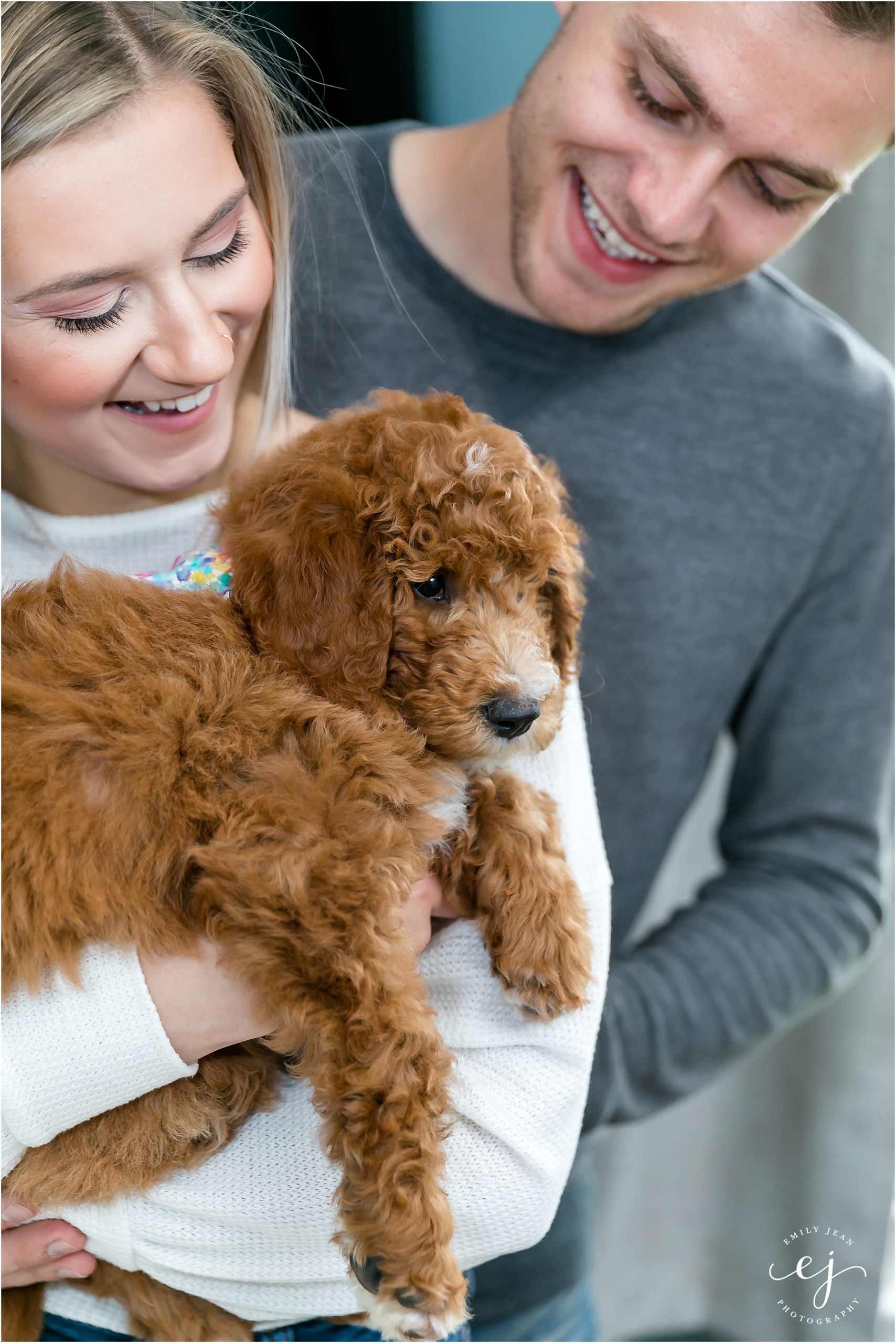 golden doodle puppy held by owners