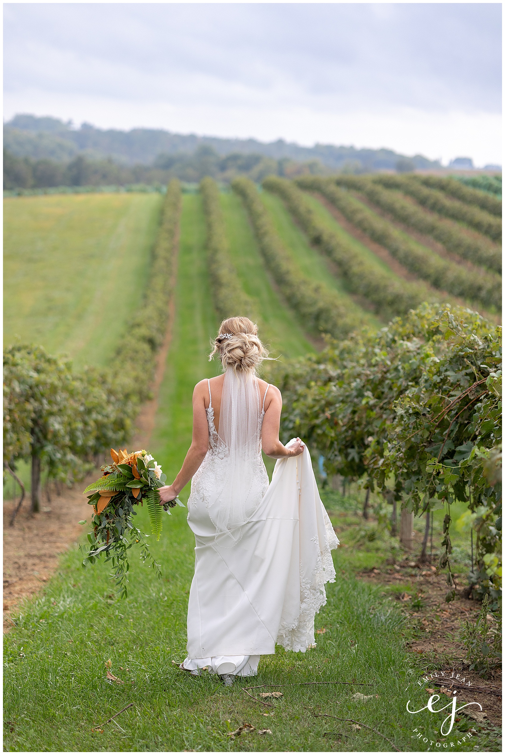 bride walking away down the vineyard path